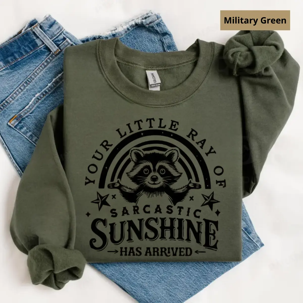 "Your Little Ray Of Sarcastic Sunshine" Funny Raccoon Pullover - Vintage Sassy Aesthetic Jumper